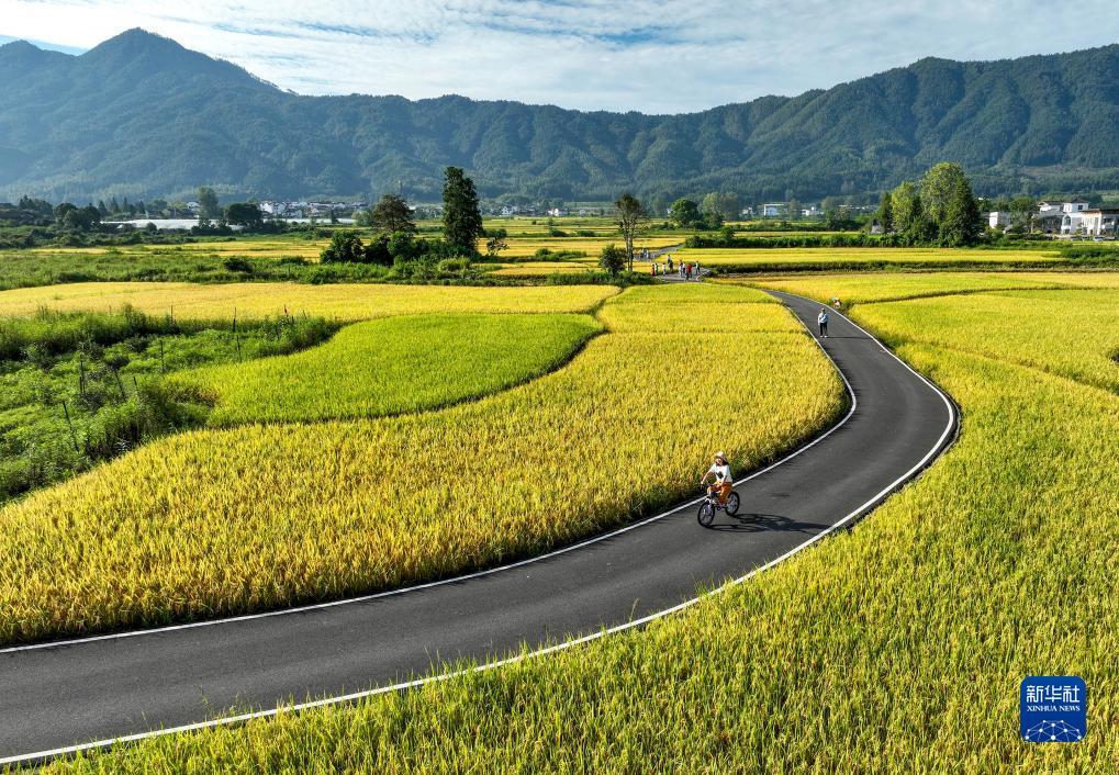 711电玩城